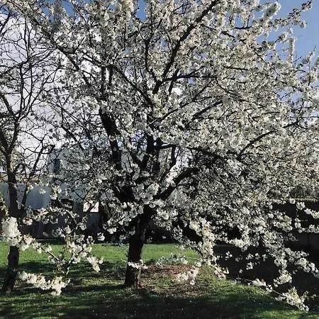 Maison A 10' A Pieds Du Port De